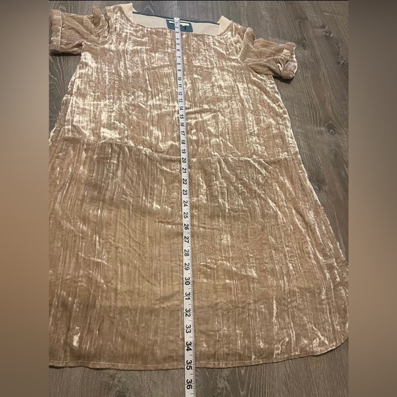 Anthropologie Floreat Champagne Crinkle Velvet Shift Tunic Style Dress Size S - Picture 3 of 9